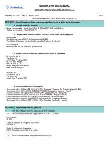 MSDS SCANSAFATICHE SGRASSATORE MARSIGLIA IT Rel. 1x
