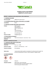 SCHEDA DI DATI DI SICUREZZA GEBOFIX Pro VE