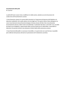 Invecchiamento della pelle M. Cascinari La pelle dell`essere umano