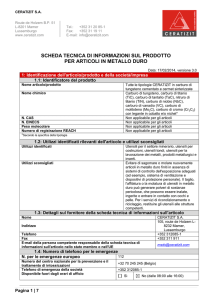 scheda tecnica di informazioni sul prodotto per