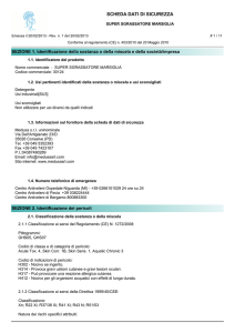 MSDS SUPER SGRASSATORE MARSIGLIA IT Rel. 1