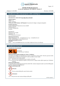Scheda di dati di sicurezza - D