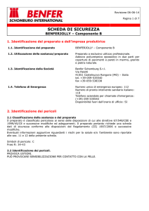 scheda di sicurezza - BENFER SCHOMBURG srl