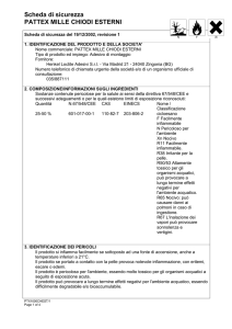 Scheda di sicurezza PATTEX MILLE CHIODI ESTERNI
