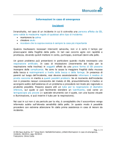Informazioni in caso di emergenza Incidenti