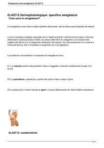 Trattamento anti-smagliature ELAST-S