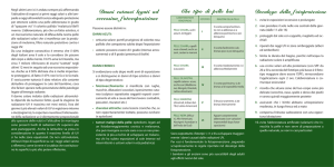 parte interna