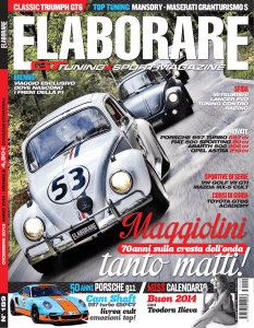 Elaborare nr. 189 – Pulizia Interni in Pelle
