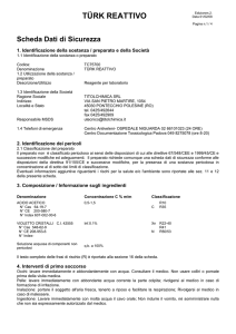 TÜRK REATTIVO - RG STRUMENTI