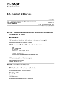 Rigron® SG - Scheda di sicurezza CLP