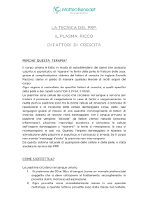Prospetto informativo PRP capelli