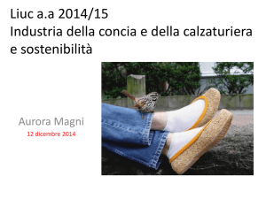 Liuc aa 2014/15 Industria della concia e della calzaturiera