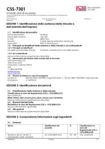 CSS-7301