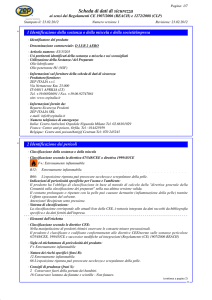 Scheda di dati di sicurezza
