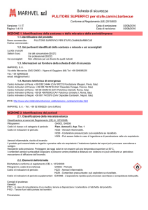 Scheda di Sicurezza