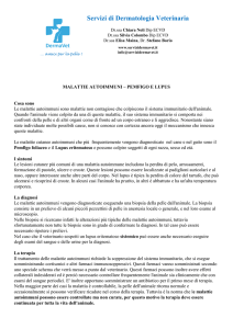 Servizi di Dermatologia Veterinaria