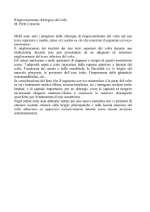 Ringiovanimento chirurgico del collo M. Pelle Ceravolo Molti sono