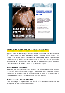 COSA PUO` FARE PER TE IL TESTOSTERONE? Amico