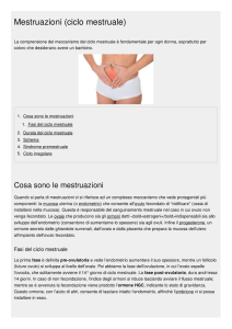 Mestruazioni (ciclo mestruale)