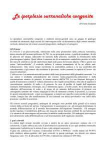 brochure - MeriGen