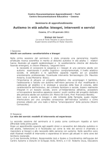 Sintesi dei lavori