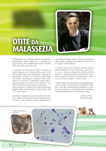 otite da malassezia