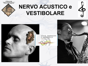 NERVO ACUSTICO-VESTIBOLARE 2013