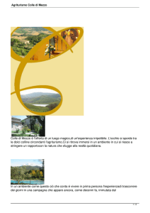 Agriturismo Colle di Mezzo