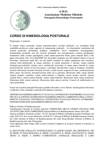 programma kinesiologia posturale