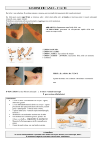 DISPENSA CRIdi Microsoft Word 97 - 2003