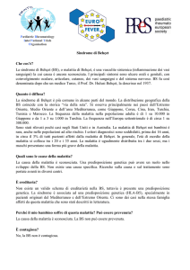 Sindrome di Behçet Che cos`è? La sindrome di Behçet (BS), o