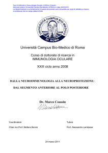 Dalla neuroimmunologia alla neuroprotezione