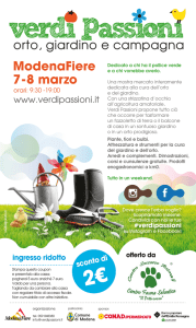 ridotto personalizzato-pettirosso