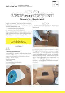 istruzioni del Mini-kit