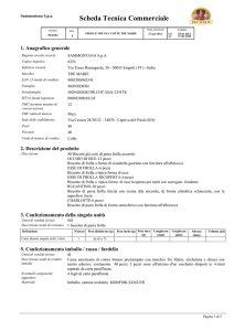 Scheda Tecnica Commerciale