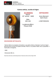 Stampa - anticSwiss