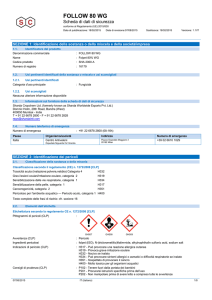 MSDS Follow 80 WG