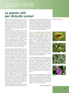 Piante utili per disturbi oculari