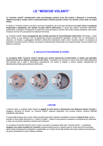 LE “MOSCHE VOLANTI”
