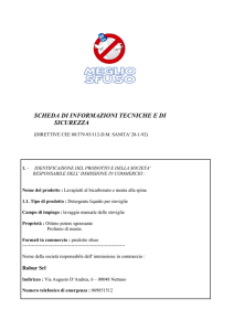 Scheda di sicurezza