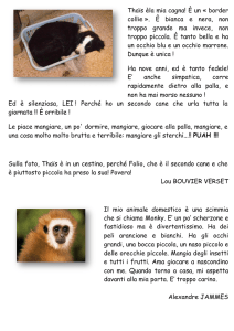 Animale 2