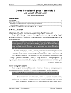 versione PDF da stampare