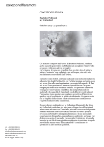 comunicato stampa Pediconi