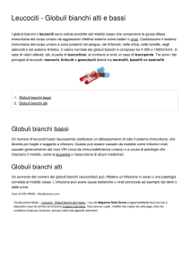 Leucociti - Globuli bianchi alti e bassi