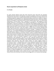 Nuove acquisizioni sull`alopecia areata R. d`Ovidio