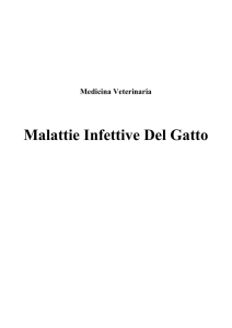 Malattie Infettive Del Gatto