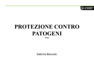 Presentazione di PowerPoint