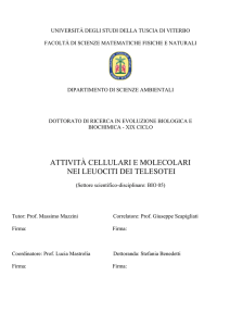 tesi dottorato - Unitus DSpace
