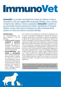 ImmunoVet è un prodotto specificatamente studiato per rafforzare il
