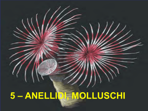 Biologia generale 5 2013